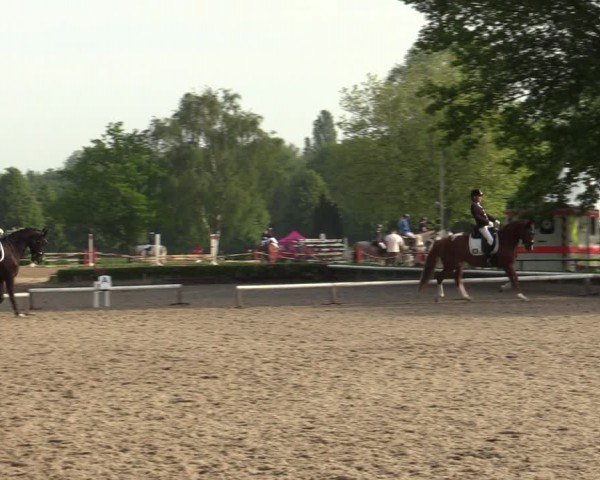Reitturnier Hamm-Rhynern 2024