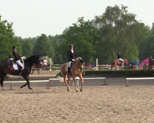Reitturnier Hamm-Rhynern 2024