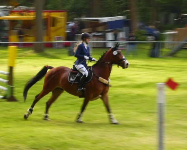 Reitturnier Helmsdorf 2024