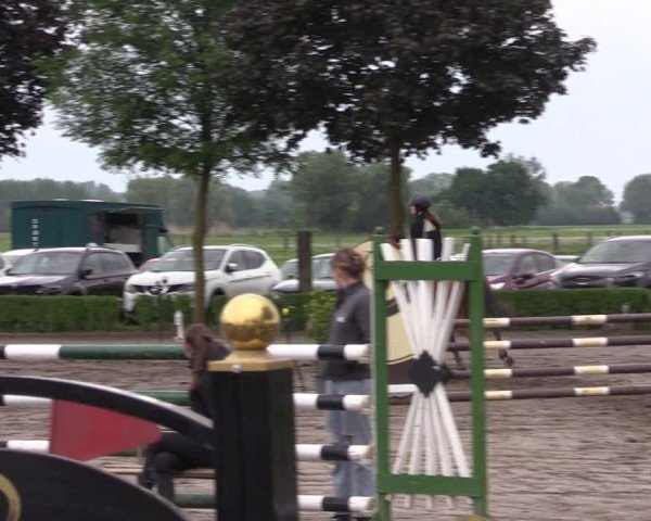 Reitturnier Lentzke - Reitanlage Krehl 2024