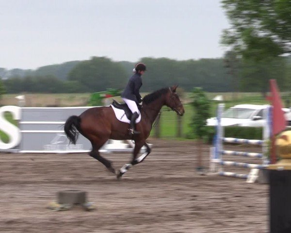 Reitturnier Lentzke - Reitanlage Krehl 2024