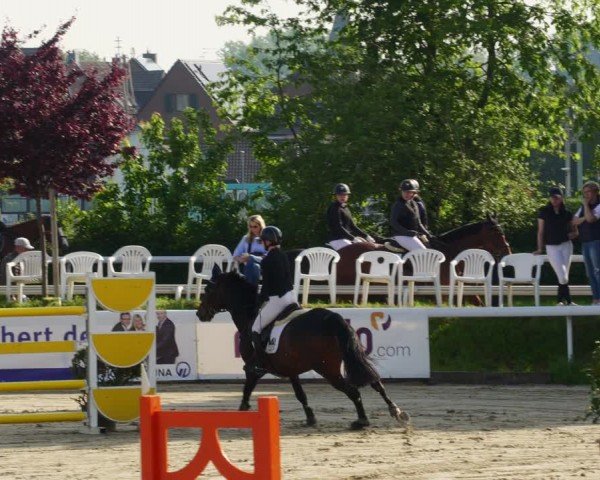 Reitturnier Bornheim-Widdig 2024