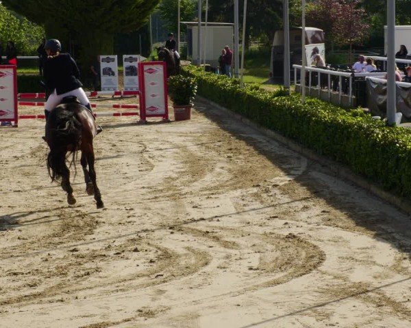 Reitturnier Bornheim-Widdig 2024