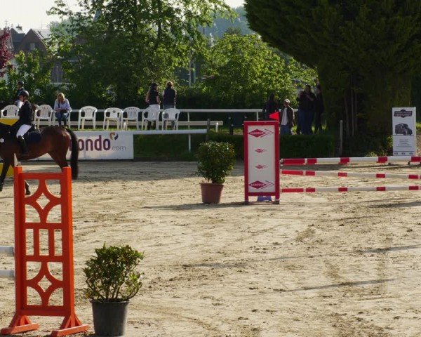 Reitturnier Bornheim-Widdig 2024