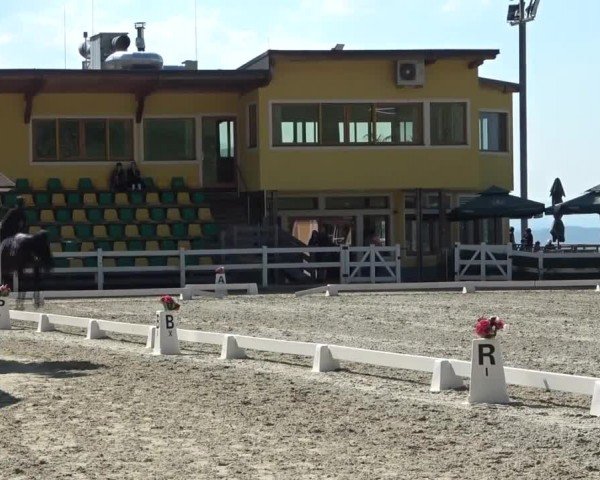 Reitturnier St. Margarethen 2024