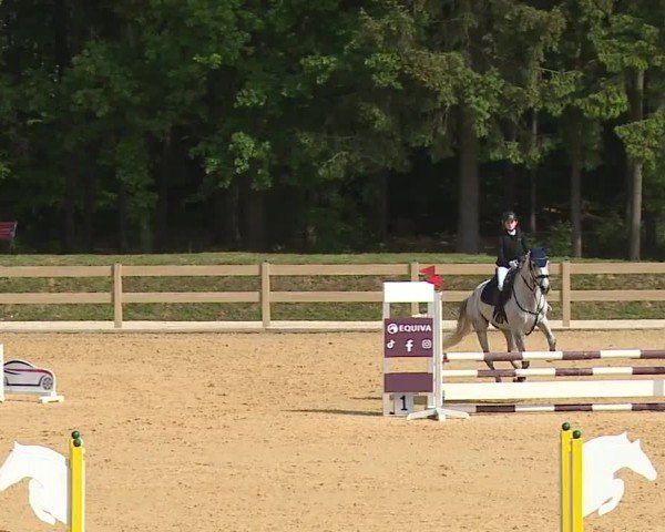 Reitturnier Tiefenhof/Opf. 2024