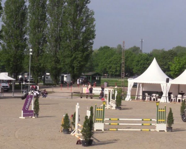 Reitturnier Hamm-Rhynern 2024