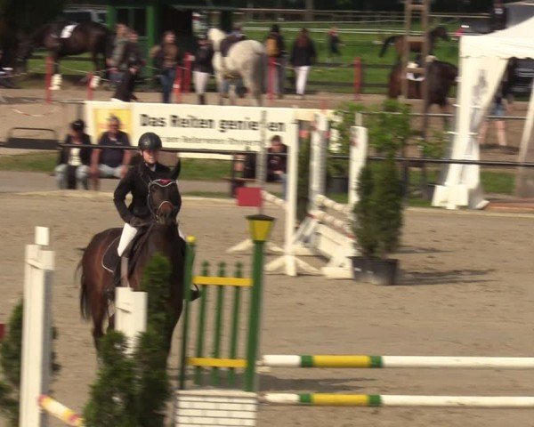 Reitturnier Hamm-Rhynern 2024