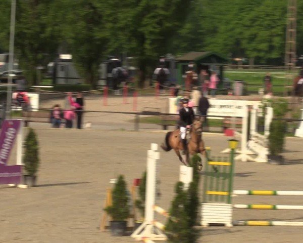 Reitturnier Hamm-Rhynern 2024