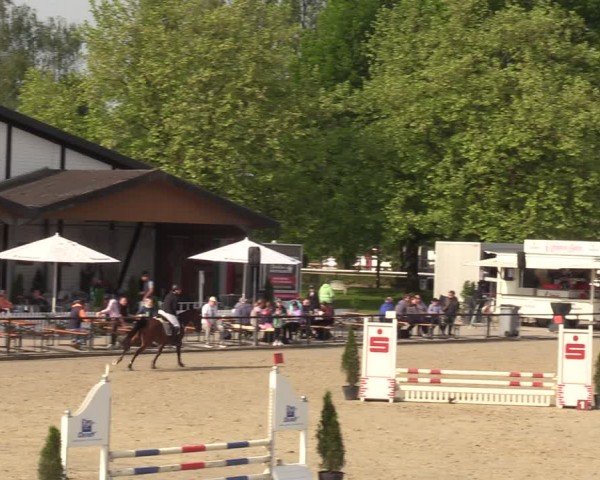 Reitturnier Hamm-Rhynern 2024