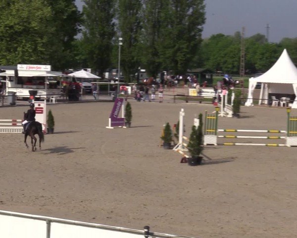 Reitturnier Hamm-Rhynern 2024