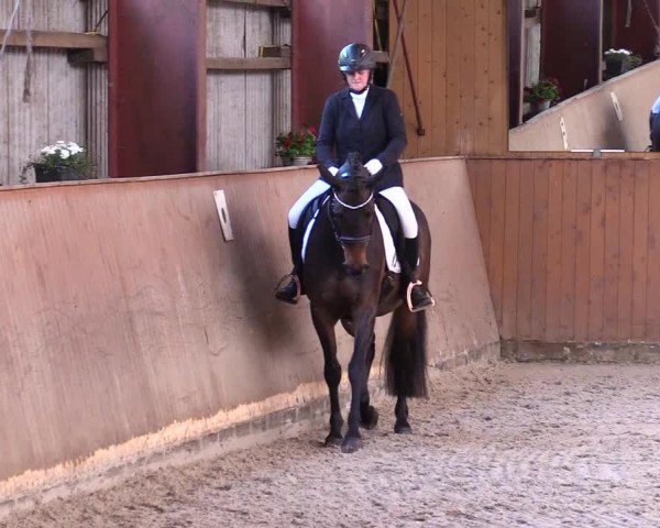 Reitturnier Risum-Lindholm 2024