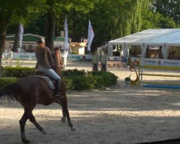 Weser Ems Meisterschaften Cloppenburg 2012