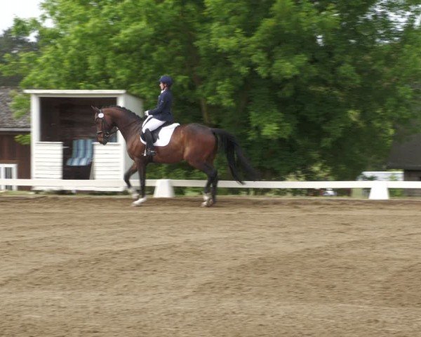 Reitturnier Teupitz 2024