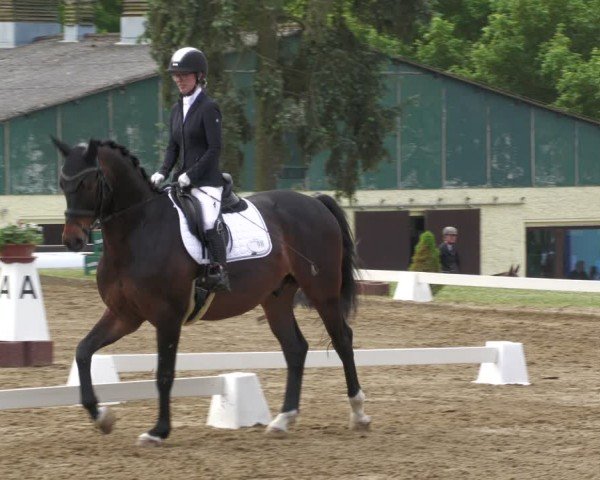 Reitturnier Teupitz 2024