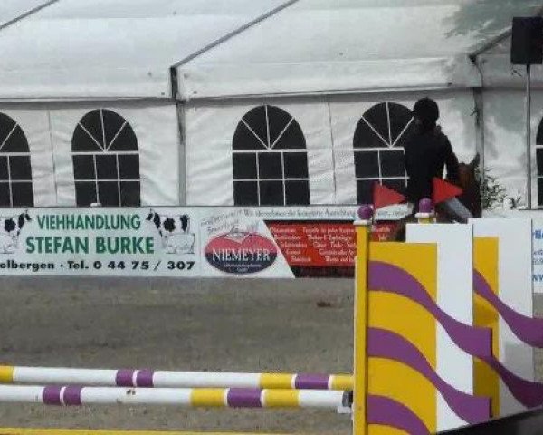 Weser Ems Meisterschaften Cloppenburg 2012