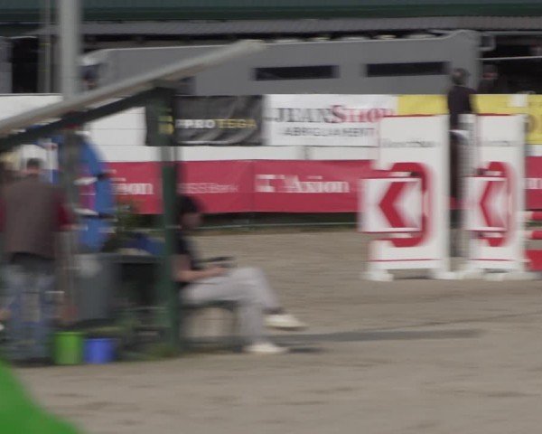 Reitturnier Giubiasco 2024