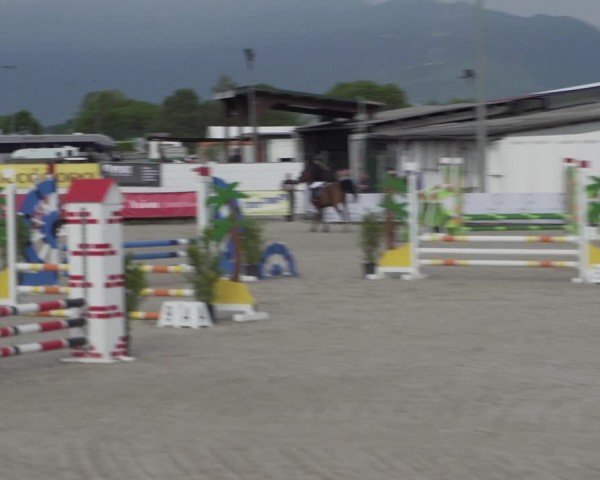 Reitturnier Giubiasco 2024