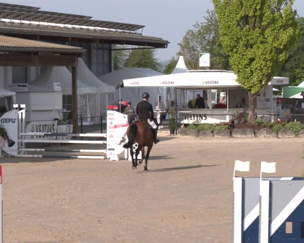 Reitturnier Hellefeld 2024