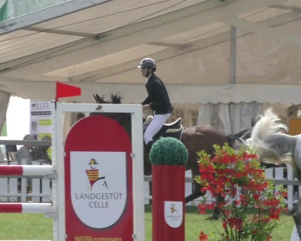 Reitturnier Wilkenburg 2024