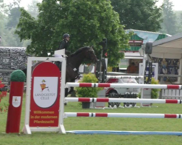 Reitturnier Wilkenburg 2024
