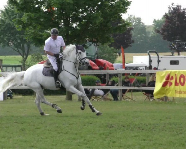 Reitturnier Wilkenburg 2024