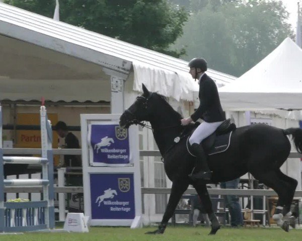 Reitturnier Wilkenburg 2024