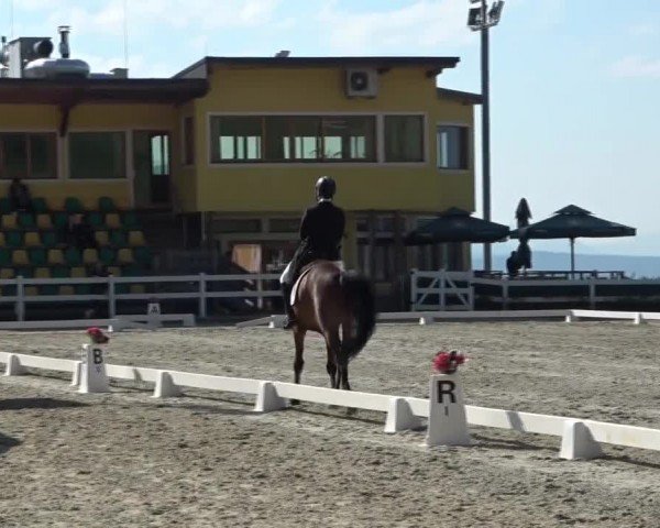 Reitturnier St. Margarethen 2024