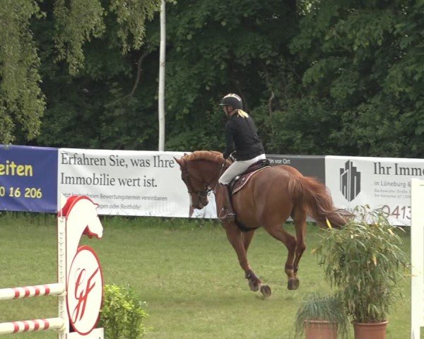 Reitturnier Scharnebeck 2024