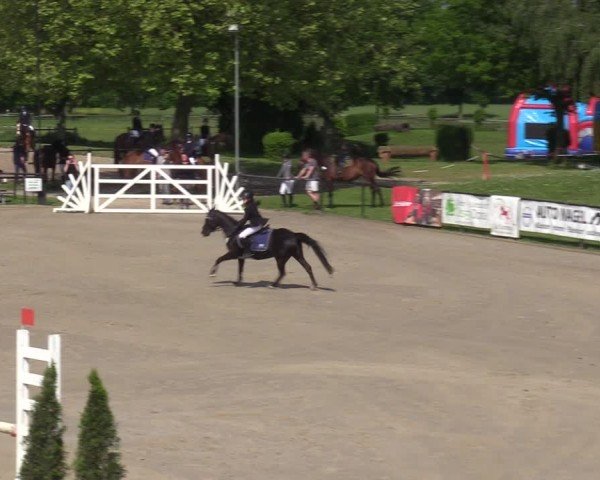 Reitturnier Hamm-Rhynern 2024