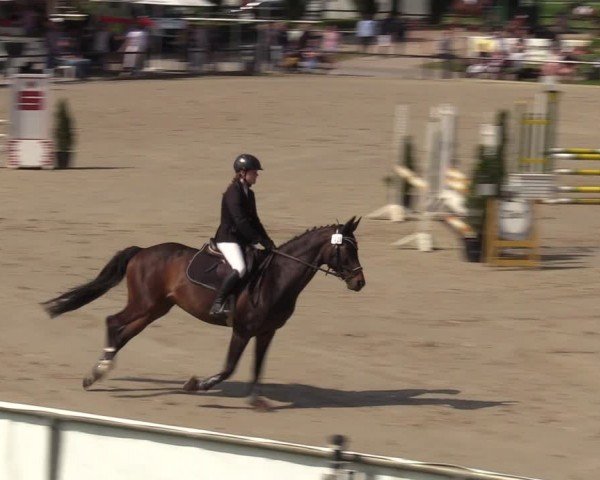 Reitturnier Hamm-Rhynern 2024