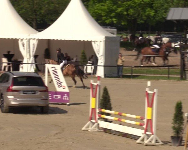 Reitturnier Hamm-Rhynern 2024