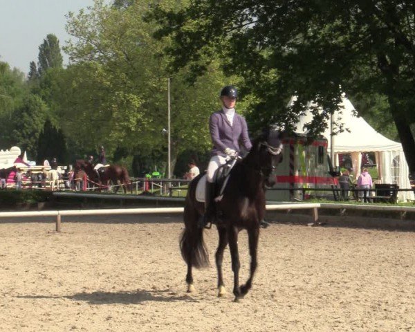 Reitturnier Hamm-Rhynern 2024