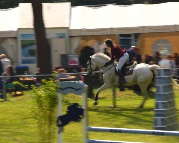 Reitturnier Helmsdorf 2024