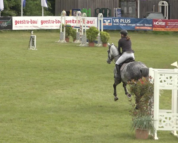 Reitturnier Scharnebeck 2024