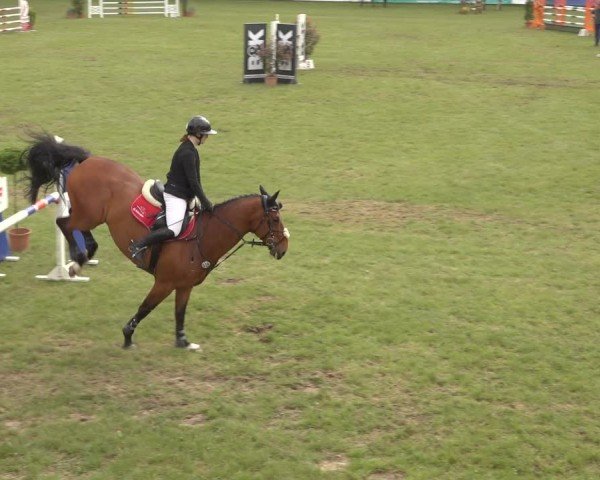 Reitturnier Scharnebeck 2024