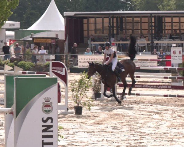 Reitturnier Hellefeld 2024