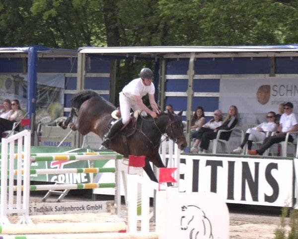 Reitturnier Hellefeld 2024
