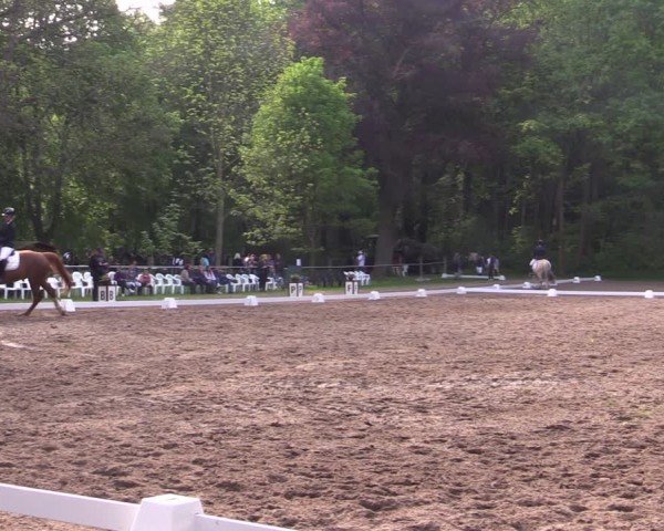 Reitturnier Helmsdorf 2024