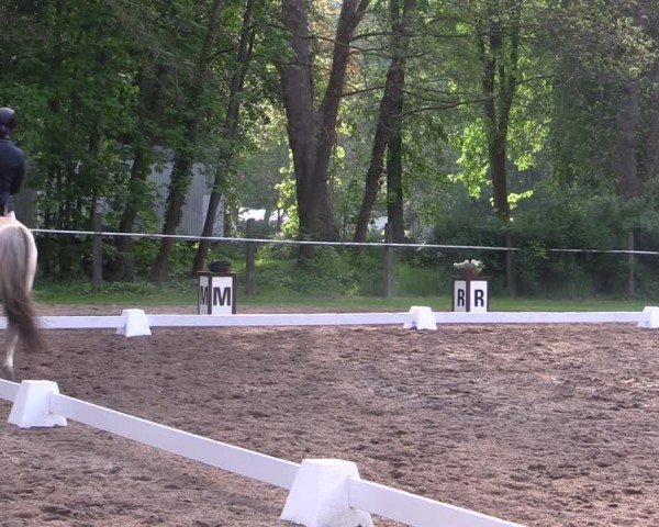 Reitturnier Helmsdorf 2024