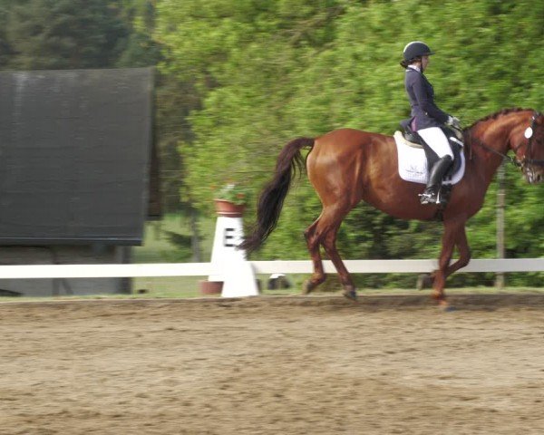 Reitturnier Teupitz 2024