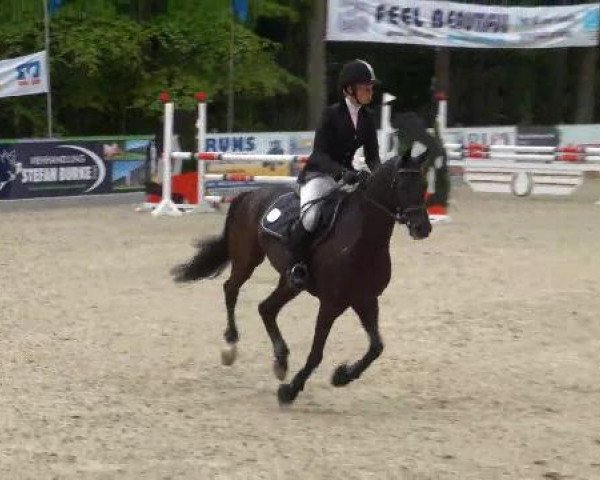 Weser Ems Meisterschaften Cloppenburg 2012