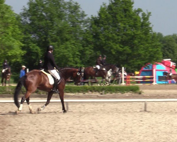 Reitturnier Hamm-Rhynern 2024