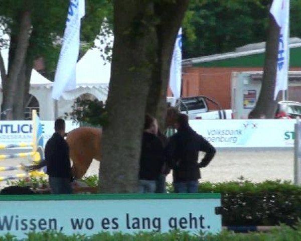 Weser Ems Meisterschaften Cloppenburg 2012