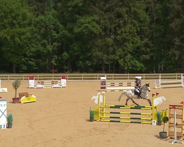 Reitturnier Tiefenhof/Opf. 2024