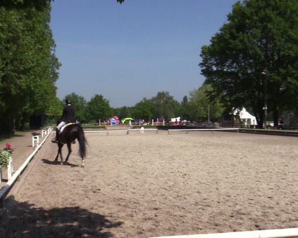Reitturnier Hamm-Rhynern 2024