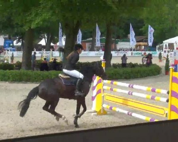 Weser Ems Meisterschaften Cloppenburg 2012