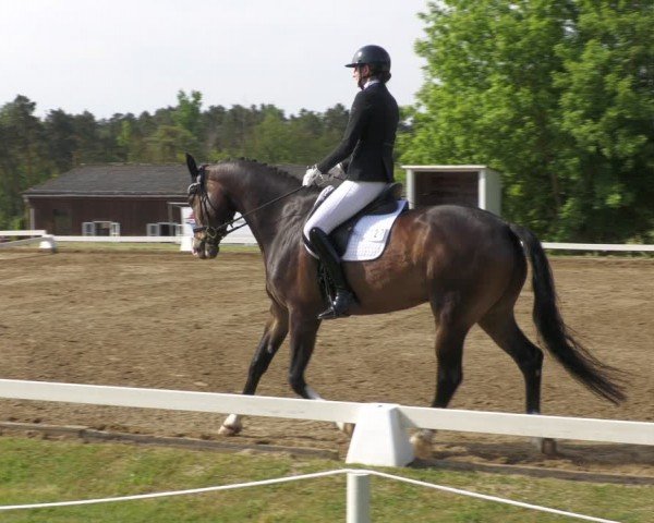 Reitturnier Teupitz 2024