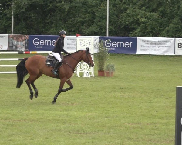 Reitturnier Scharnebeck 2024