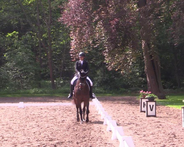 Reitturnier Helmsdorf 2024